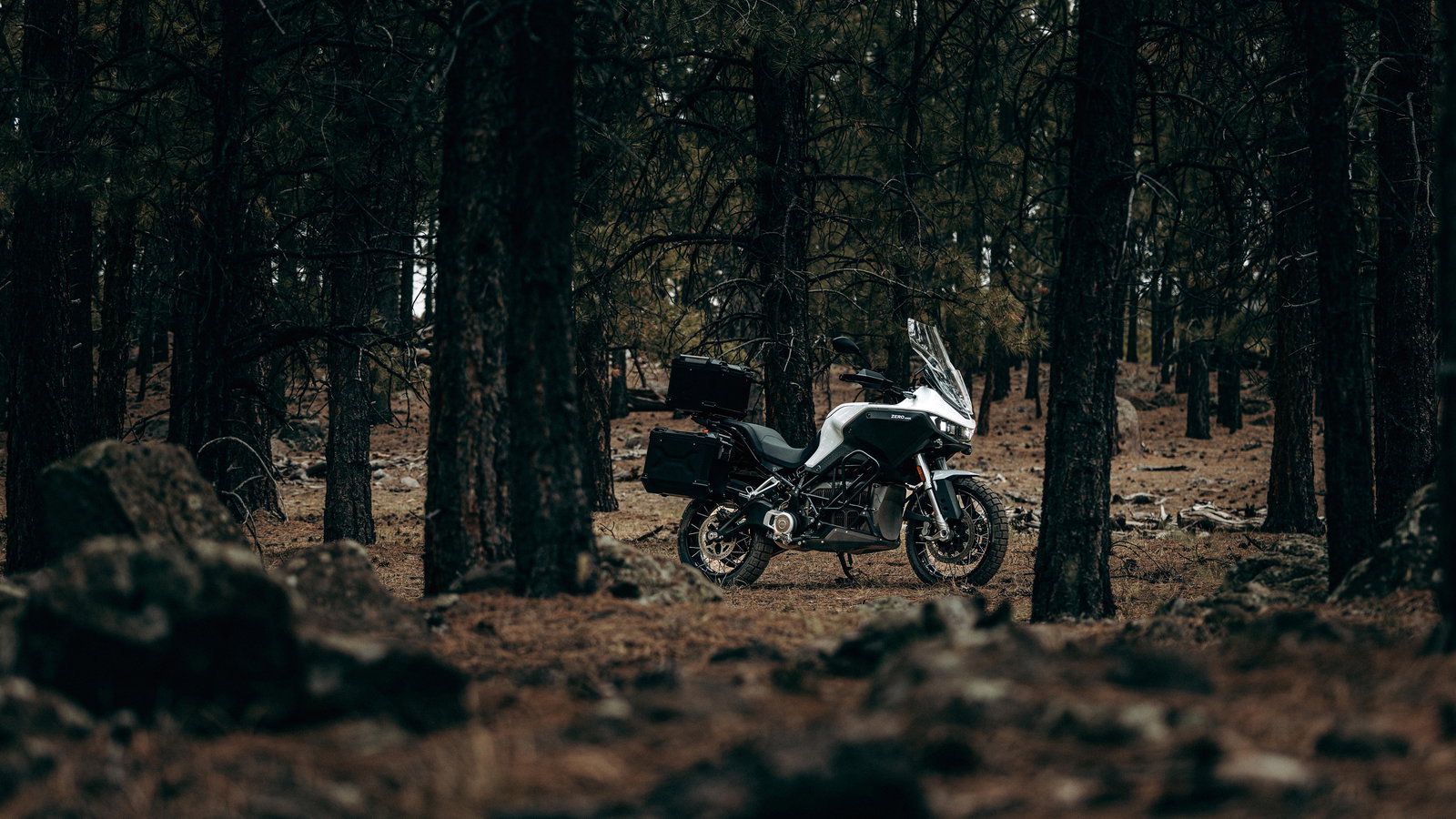 Zero DSR/X parked in woods